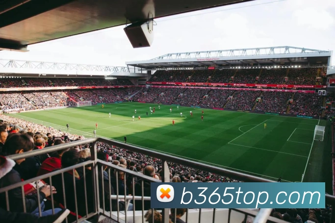 Bet365体育APP 封面图